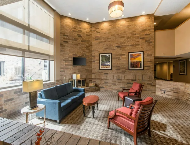 Comfort Inn & Suites Denver Northfield hotel detail image 4