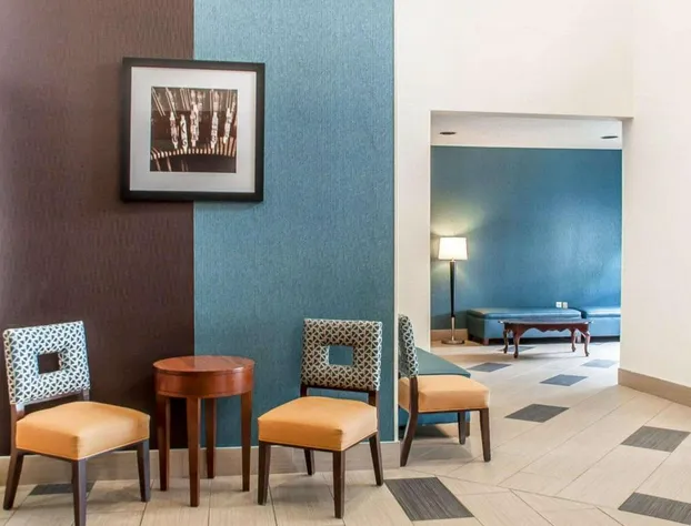 Comfort Inn & Suites Hamburg - Buffalo South hotel detail image 3