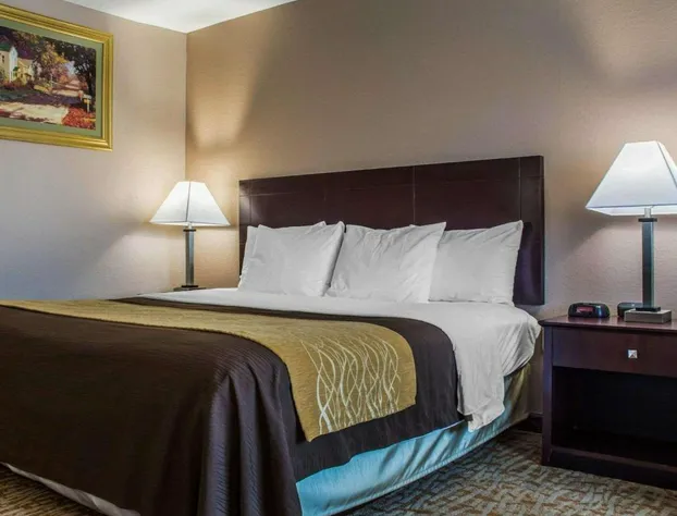 Quality Inn hotel detail image 4