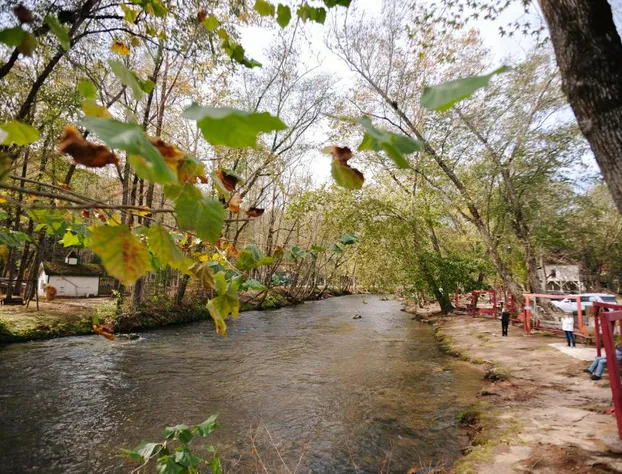 Riverbend Motel & Cabins hotel detail image 4