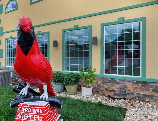 Cardinal Motel hotel detail image 1