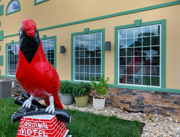 Cardinal Motel hotel detail image 3