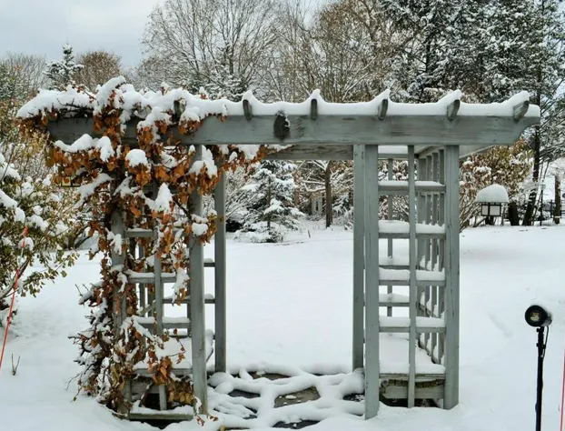 Maple Terrace Motel hotel detail image 3