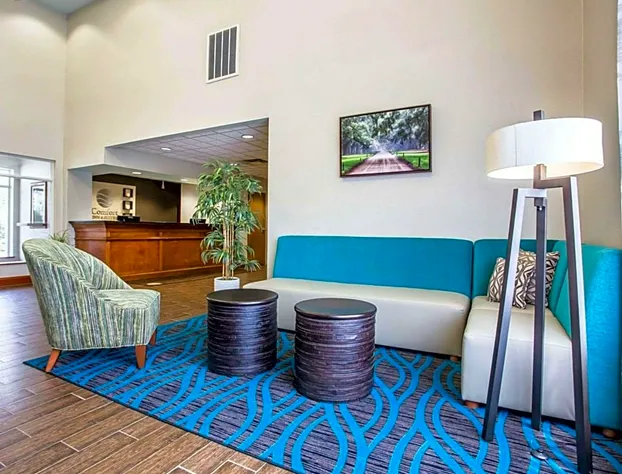 Comfort Inn & Suites Walterboro I-95 hotel detail image 2