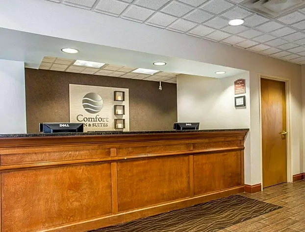 Comfort Inn & Suites Walterboro I-95 hotel detail image 4