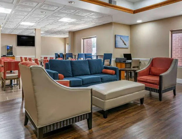 Comfort Inn & Suites Statesboro - University Area hotel detail image 4