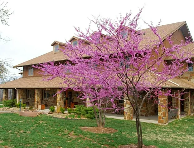 Postoak Lodge hotel detail image 1