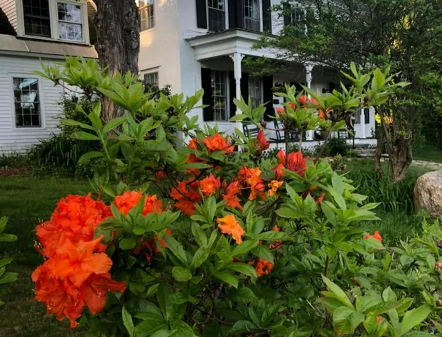 Stone Hearth Inn and Eatery hotel detail image 1