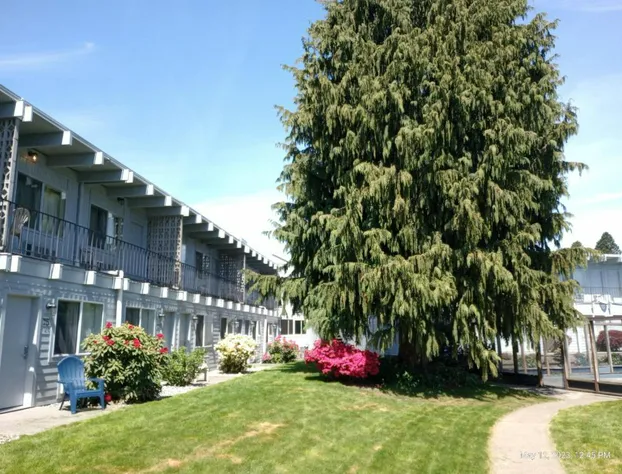 Cocusa Motel hotel detail image 1