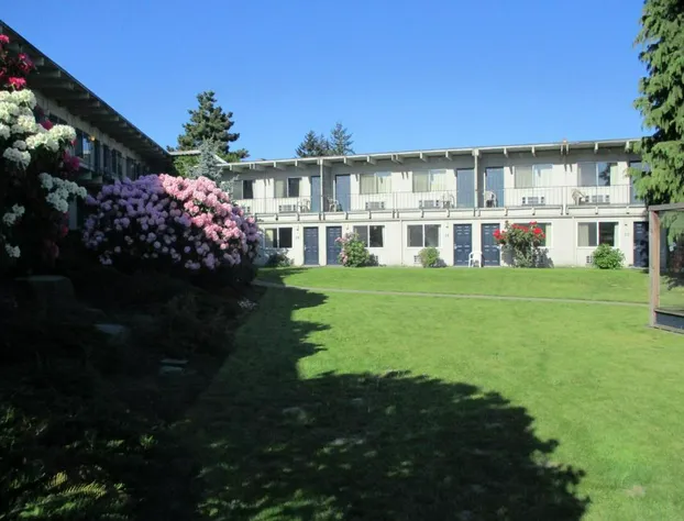 Cocusa Motel hotel detail image 4