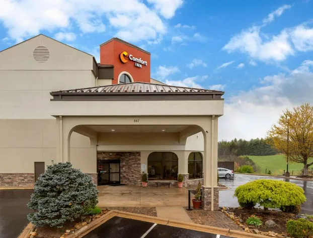 Comfort Inn North of Asheville hotel detail image 3