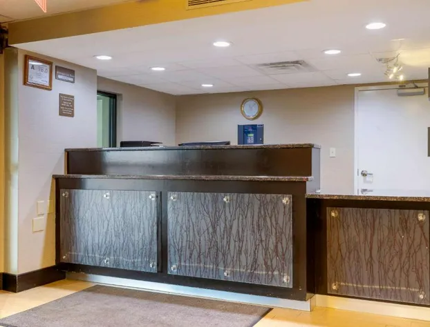 Comfort Inn North of Asheville hotel detail image 4