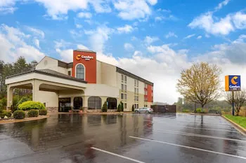 Comfort Inn North of Asheville hotel detail image 1