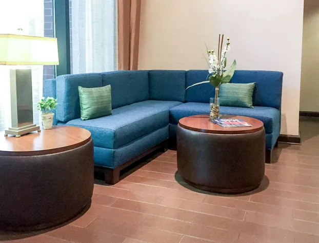 Comfort Suites Regency Park hotel detail image 4