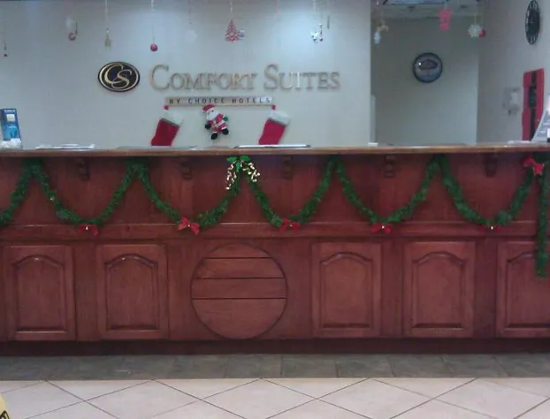 Comfort Suites Airport hotel detail image 4