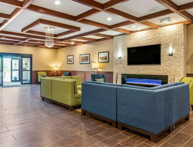 Comfort Suites Grand Rapids North hotel detail image 2