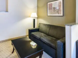 Quality Suites Sherman hotel detail image 4