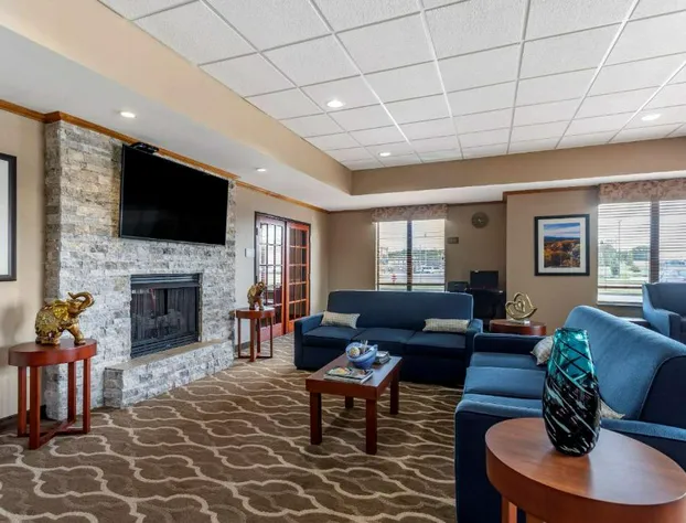 Comfort Inn & Suites Carbondale University Area hotel detail image 1