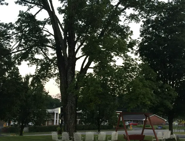 Old Kentucky Home Motel hotel detail image 4