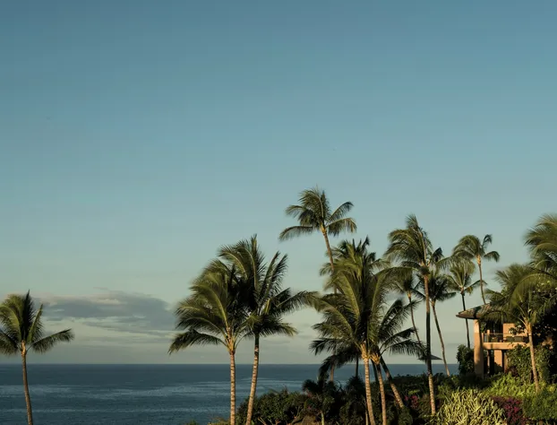 Four Seasons Resort Lanai hotel detail image 2