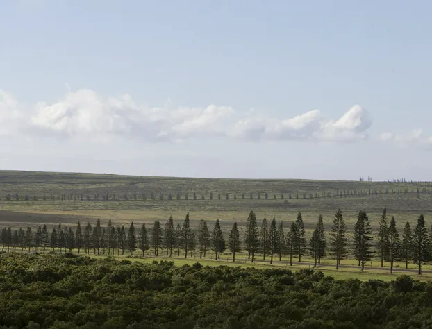 Four Seasons Resort Lanai hotel detail image 4