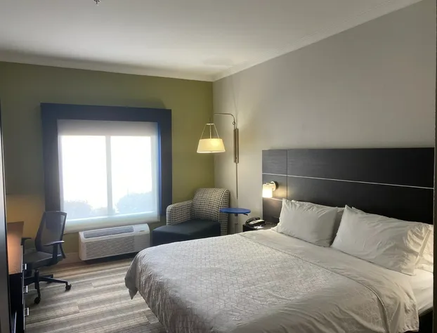 Holiday Inn Express & Suites Dallas NE - Allen by IHG hotel detail image 2