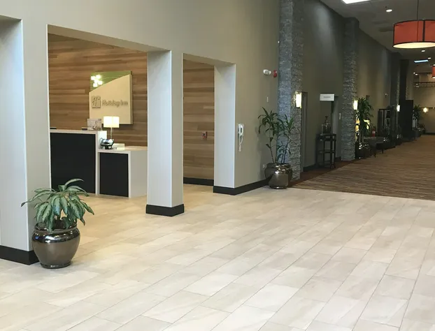 Holiday Inn & Suites Chicago-Carol Stream (Wheaton) by IHG hotel detail image 3