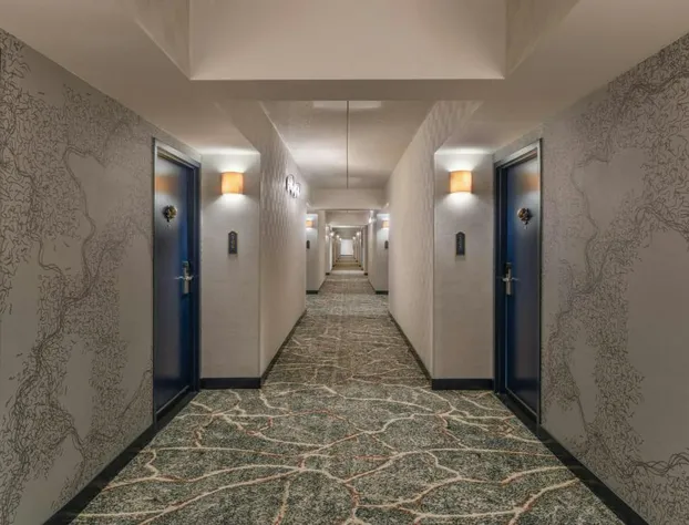The Mecklen Hotel, Charlotte, a Tribute Portfolio™ Hotel hotel detail image 1