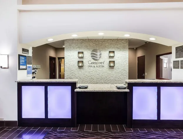 Comfort Inn & Suites hotel detail image 3