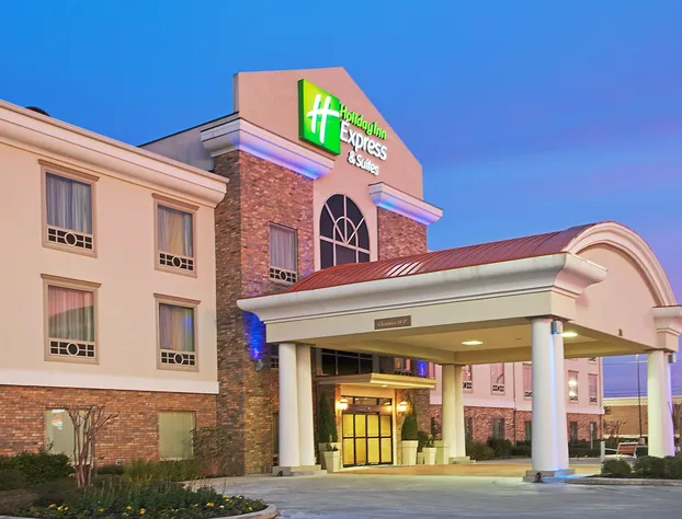 Holiday Inn Express Hotel & Suites Conroe I-45 North by IHG hotel detail image 1