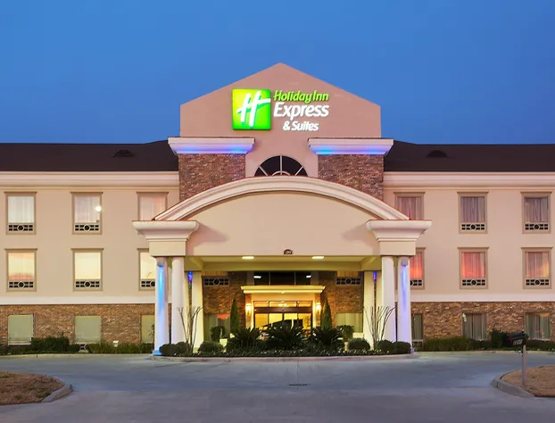Holiday Inn Express Hotel & Suites Conroe I-45 North by IHG hotel detail image 2