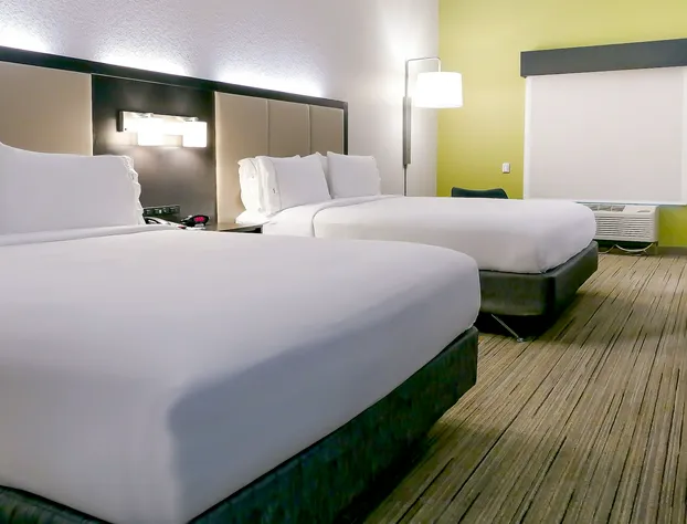 Holiday Inn Express St. Petersburg North (I-275) by IHG hotel detail image 4