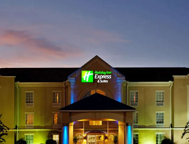 Holiday Inn Express & Suites Orangeburg by IHG hotel detail image 1