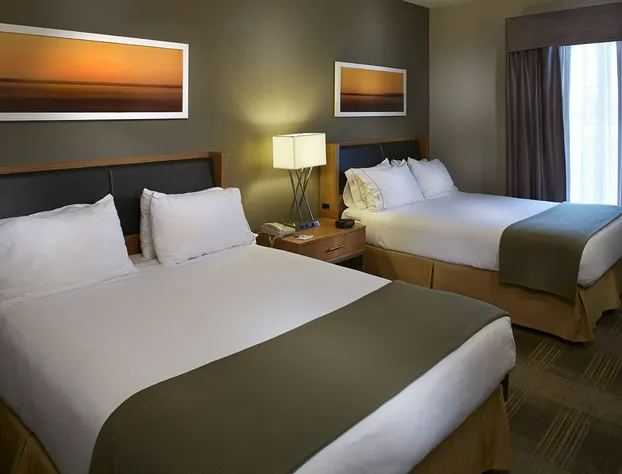 Holiday Inn Express & Suites Orangeburg by IHG hotel detail image 4