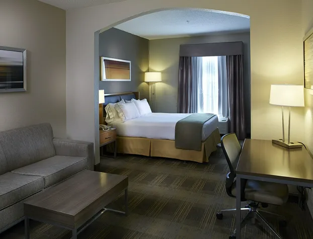 Holiday Inn Express & Suites Orangeburg by IHG hotel detail image 2