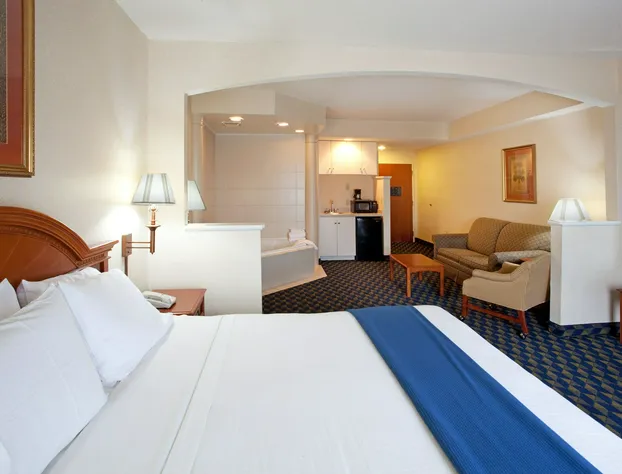 Holiday Inn Express & Suites Orangeburg by IHG hotel detail image 3