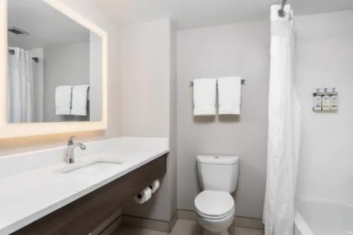 Holiday Inn Express Hotel & Suites Chattanooga-Lookout Mtn by IHG hotel hero