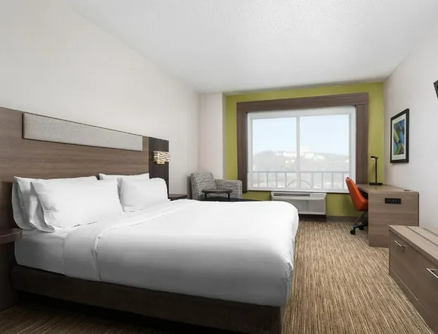 Holiday Inn Express Hotel & Suites Chattanooga-Lookout Mtn by IHG hotel detail image 1