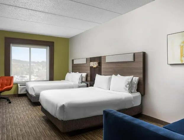 Holiday Inn Express Hotel & Suites Chattanooga-Lookout Mtn by IHG hotel detail image 2