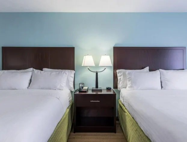 Holiday Inn Express Dandridge by IHG hotel detail image 3