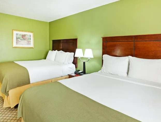 Holiday Inn Express Dandridge by IHG hotel detail image 4