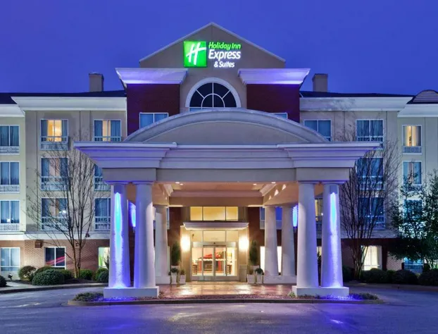 Holiday Inn Express & Suites Greenville-I-85 & Woodruff Rd by IHG hotel detail image 2