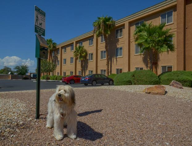 Holiday Inn Express Las Vegas-Nellis, an IHG Hotel hotel detail image 4