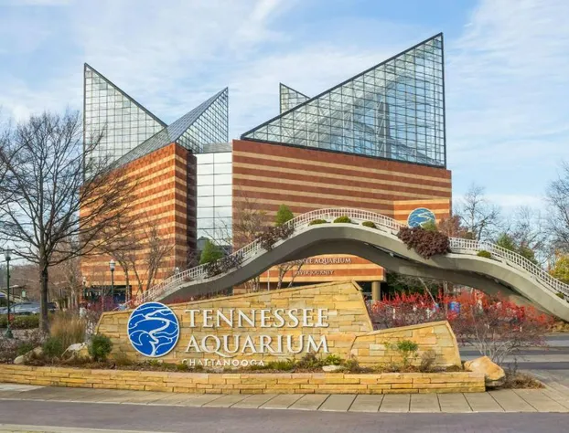 Knights Inn Chattanooga hotel detail image 4