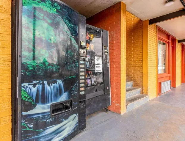 Econo Lodge Charlotte Airport Area hotel detail image 4