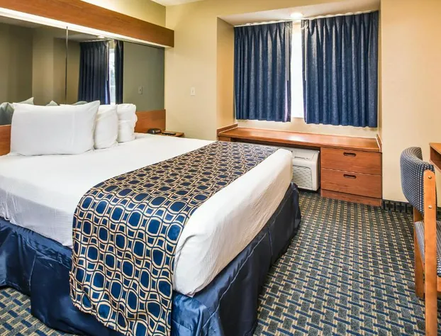 Microtel Inn & Suites by Wyndham Leesburg/Mt Dora hotel detail image 2