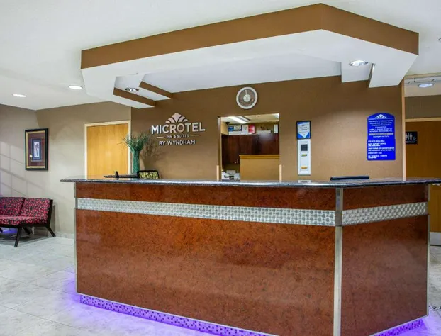 Microtel Inn & Suites by Wyndham Charleston WV hotel detail image 3