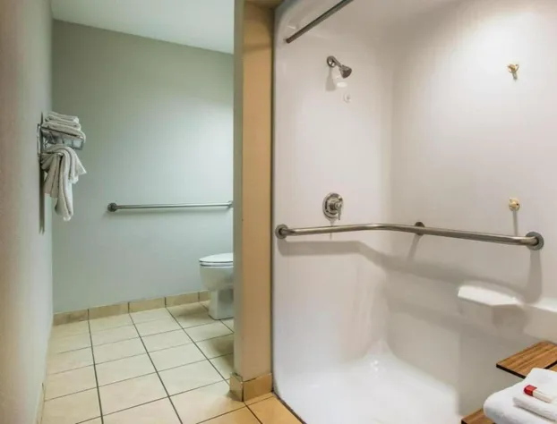 Microtel Inn & Suites by Wyndham Chattanooga/Near Hamilton P hotel detail image 2