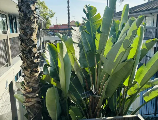 Motel 6 Santa Ana, CA hotel detail image 3