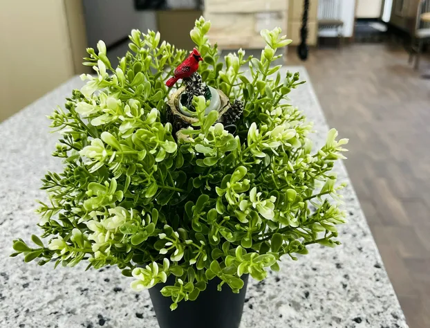 Super 8 by Wyndham Clear Lake hotel detail image 2